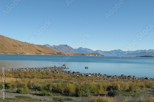 Lake Tekapo NZ in summer