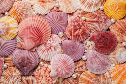 Beautiful sea shells and pearls as background, top view