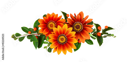 African chamomile with gree...