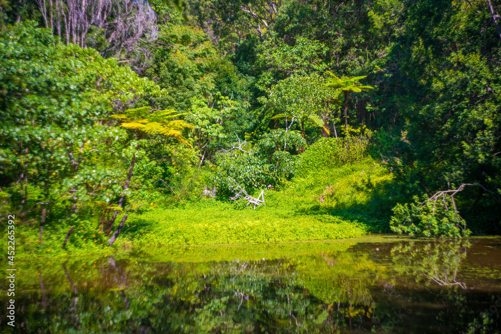 Fototapeta premium オーストラリアのゴールドコースト、バイロン・ベイ周辺の観光名所を旅行している風景 Scenes from a trip around Byron Bay, Gold Coast, Australia. 