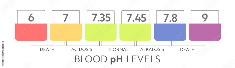 Human Blood Ph Range Medical Illustration Chart And Scale Acidic 