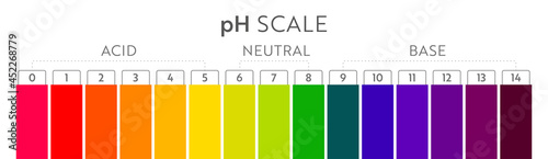 pH Value scale chart. Acid-base balance infographic. Education Poster