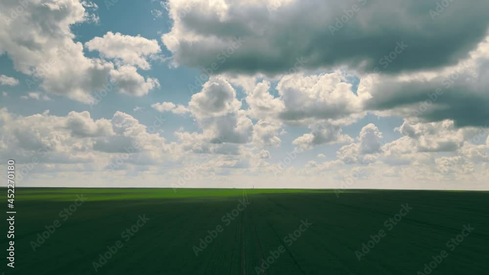 Fast flight over a field of green wheat and fast moving clouds. Timelapse field landscape with clouds