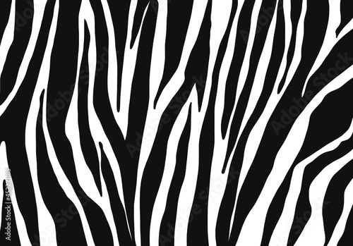 zebra skin texture