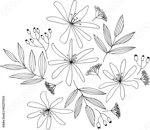 Illustration of flowers clematis and tree branches. Contour image. Hand-drawn. Design of posters, postcards, invitations, design of weddings, holidays, decor.