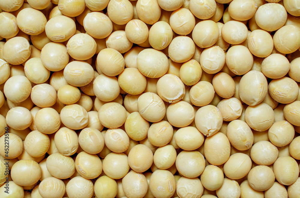 Closed up dry organic soybean seed background. Concept of healthy or diet food ingredient and agricultural product Closed up dry organic soybean seed background. Concept of healthy or diet food ingredient and agricultural product