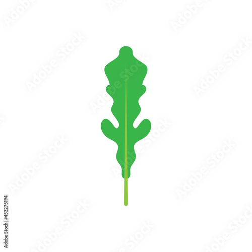 Arugula icon design illustration template