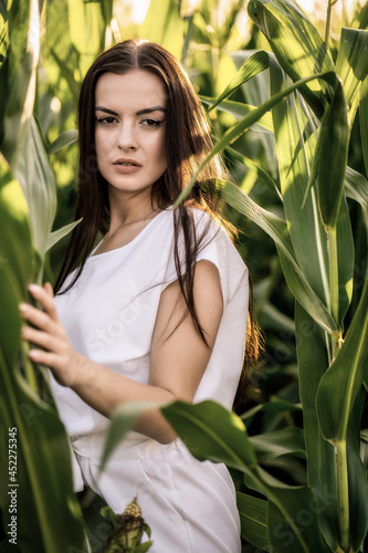 Young beautiful woman with brown hair in the corn field.