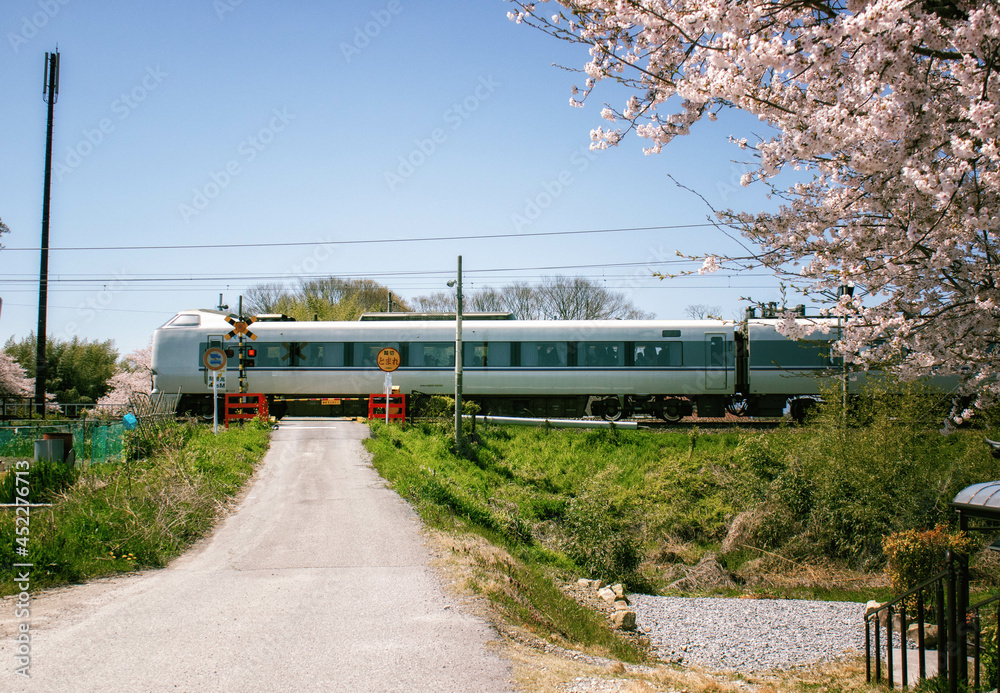 Naklejka premium 桜の花と踏切が見える田舎の鉄道風景