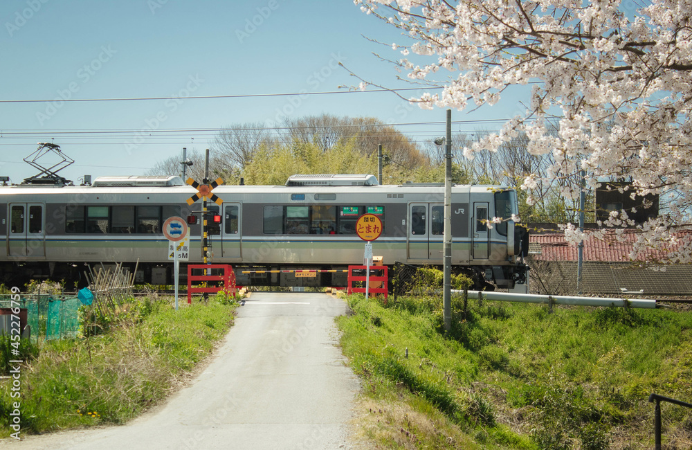 Naklejka premium 桜の花と踏切が見える田舎の鉄道風景