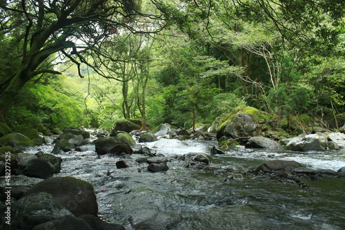 箱根旧街道