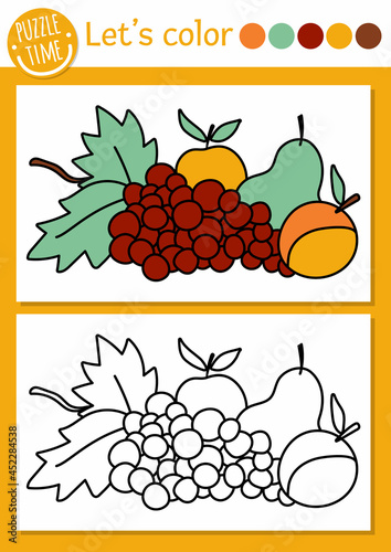 Garden coloring page for children with fruit. Vector autumn outline illustration with harvest. Color book for kids with colored example. Drawing skills printable worksheet.