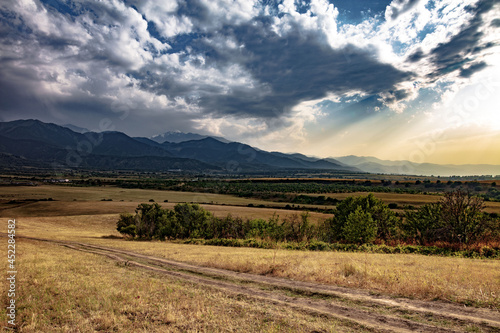 vineyard in region country