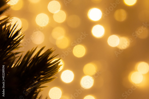 warm color background Bokeh background with pine trees for Christmas decorations. or New Year's Day