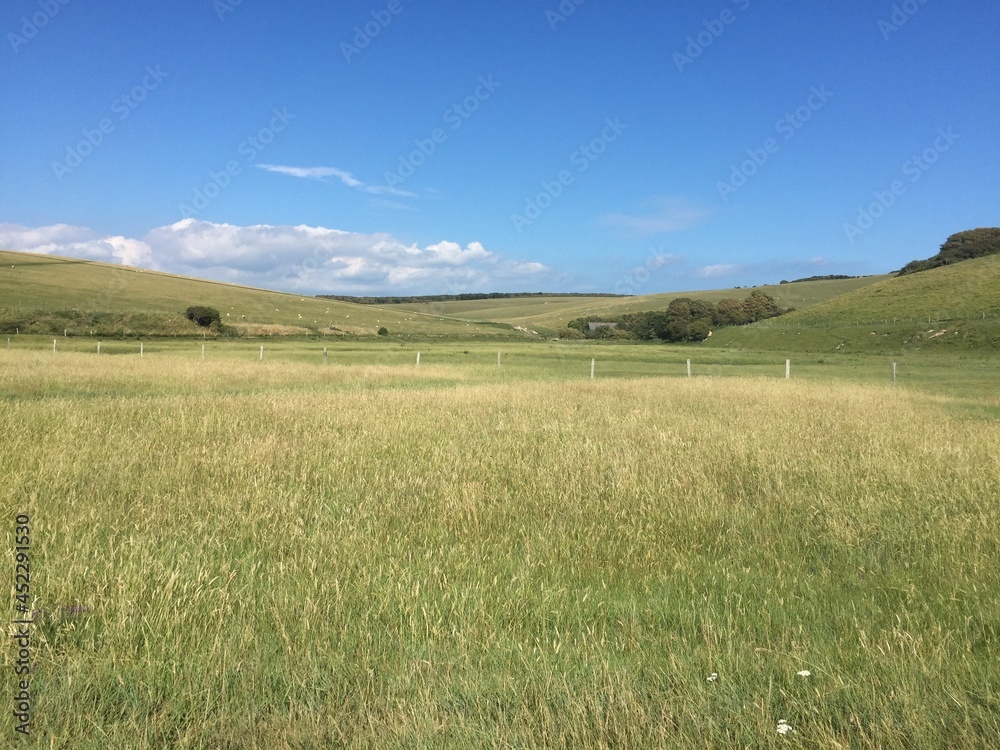 field and blue sky in eastbourne