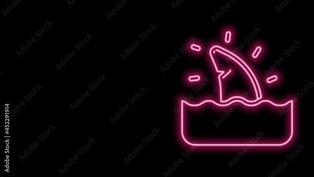 Glowing neon line Shark fin in ocean wave icon isolated on black background. 4K Video motion graphic animation Glowing neon line Shark fin in ocean wave icon isolated on black background. 4K Video motion graphic animation