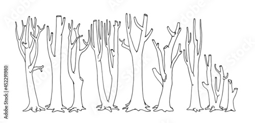 a set of bare tree trunks, dead forest, leafless branches, firewood harvesting, vector illustration with contour lines in black ink isolated on a white background in the style of doodle and hand drawn