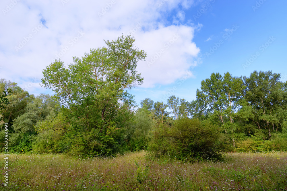 Seiglats Regional Nature Reserve in Île de France country