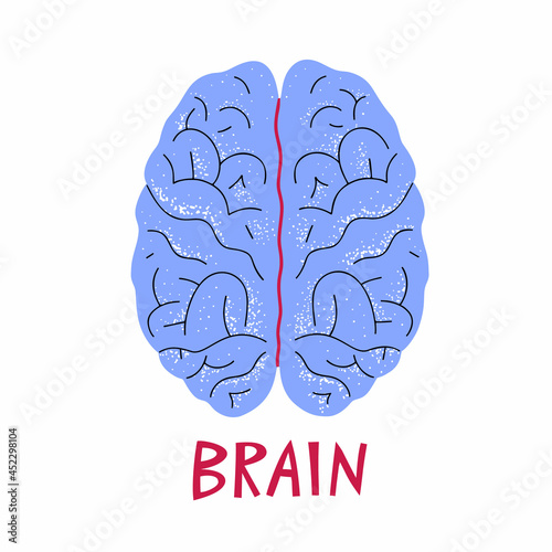 Human brain illustration. Vector medicine illustration in cartoon style. Human brains anatomy. Internal organ cute style