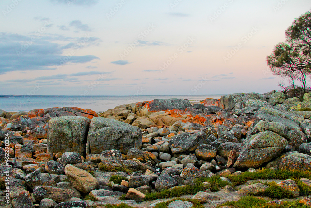 Sunset over the ocean with rocks covered in orange lichen in the foreground. Bay of Fires, Tasmania Australia. No people, space for copy.