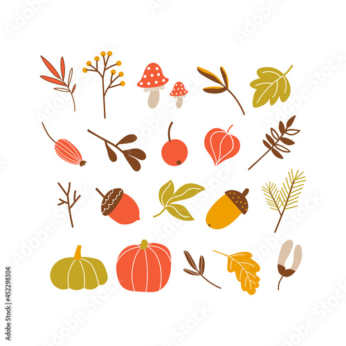 Vector collection of autumn plants - leaves, branches, berries, physalis, rose hips, pumpkins. Isolated design elements.