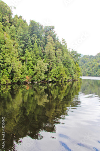 Reflections in the Gordon River Tasmania Australia. No people  copy space.