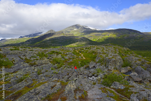 National park Stora Sjöfallet/Stuor Muorkke, Laponian Area - The Arctic Circle region of northern Sweden is the home of the Saami people - UNESCO World Heritage of Sweden photo