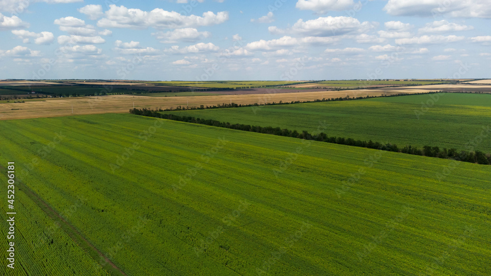 Aerial landscape. Aerial view of the fields of Moldova.