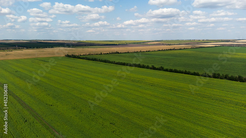 Aerial landscape. Aerial view of the fields of Moldova.