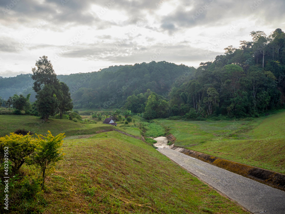 The beautiful green grass and the small stream Pang Oung, which dubbed is as Switzerland, Mae hong son, Thailand.