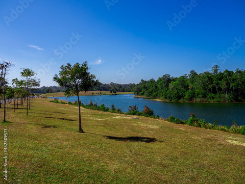 The grass near the nice lake at Khao Yai National Park, Nakhon Ratchasima, Thailand. © benyapha