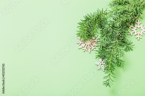 branch of yew on green paper background