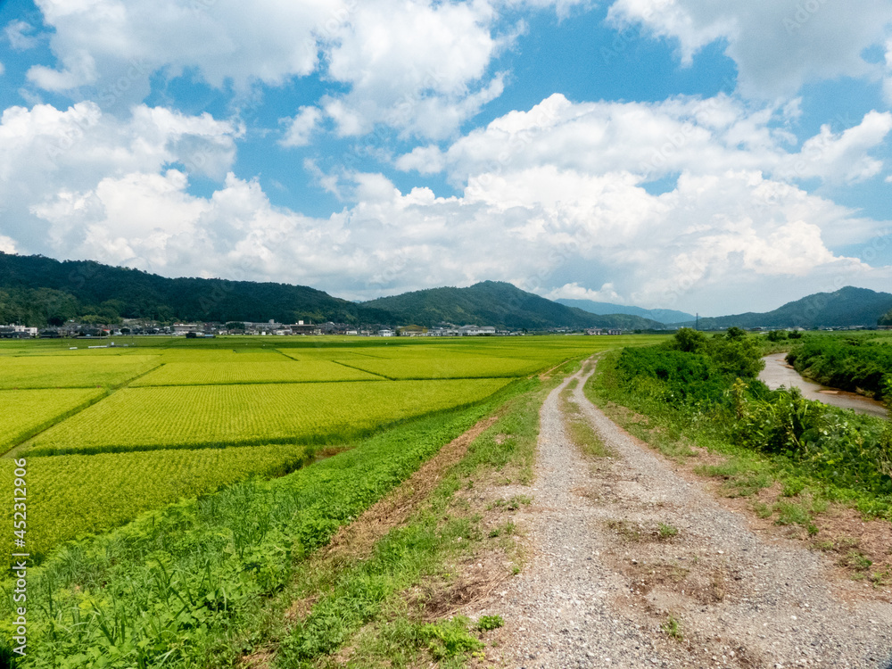 京都丹後 夏の田園風景 京都丹後 夏の田園風景