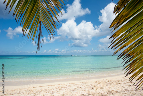 Fototapeta Naklejka Na Ścianę i Meble -  Panoramic view of a deserted tropical beach with palm leaves against the blue sky on the island of Cozumel in Mexico
