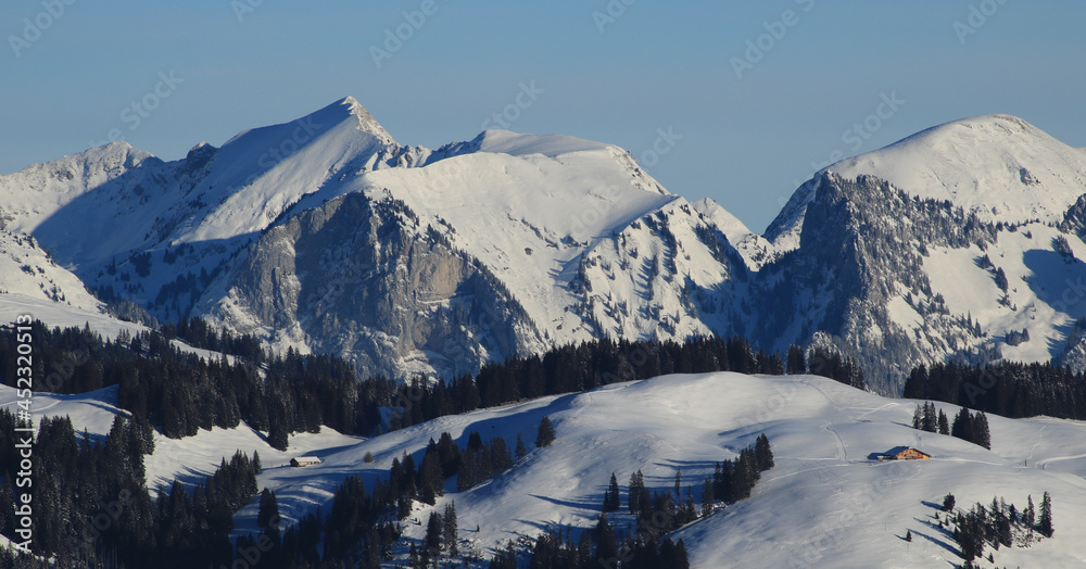 Wintery landscape seen from Horeneggli.