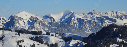 Wintery landscape seen from Horneggli, Switzerland.