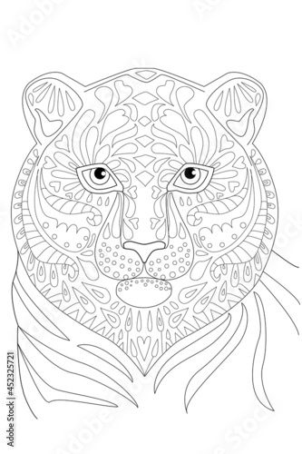 Fototapeta Naklejka Na Ścianę i Meble -  portrait of tiger for your coloring book