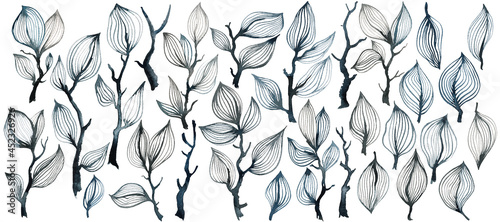 OLA watercolor black tree branches, twigs and leaves, minimalist hand drawn illustrations