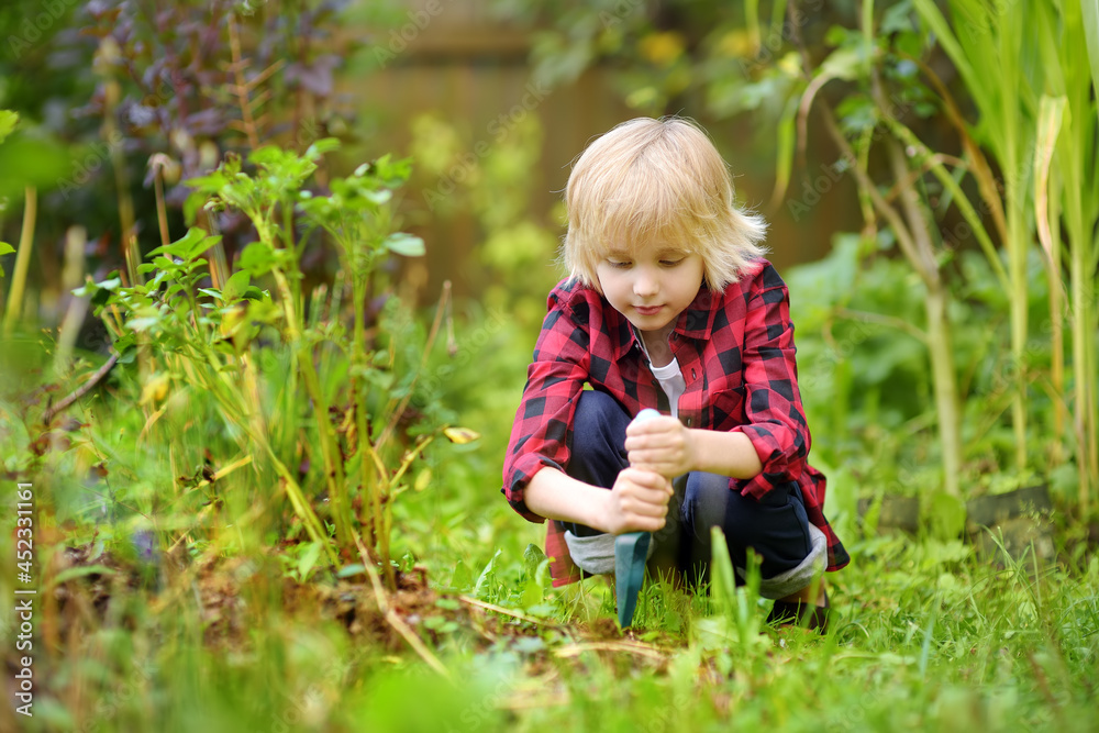 Little boy dig shoveling in backyard at summer sunny day. Mommy little helper in the garden. Little boy dig shoveling in backyard at summer sunny day. Mommy little helper in the garden.