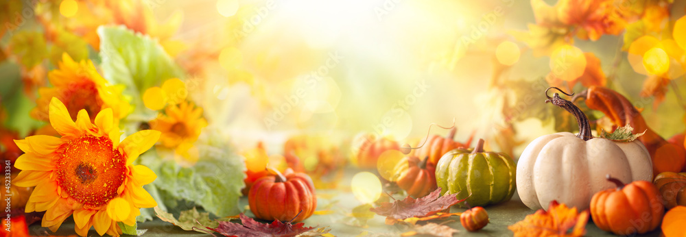 Festive autumn decor from pumpkins, flowers and fall leaves. Concept of Thanksgiving day or Halloween - obrazy, fototapety, plakaty 