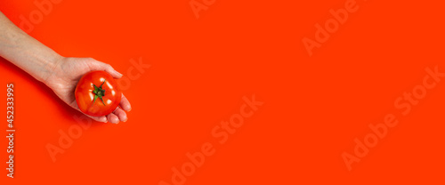 A woman's hand in the palm holds a ripe tomato on a red background. Top view, flat lay. Banner