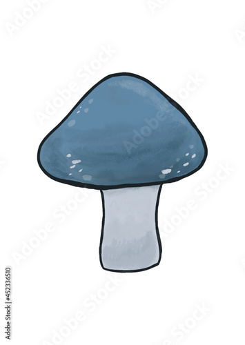 Blue Roundcap Mushroom