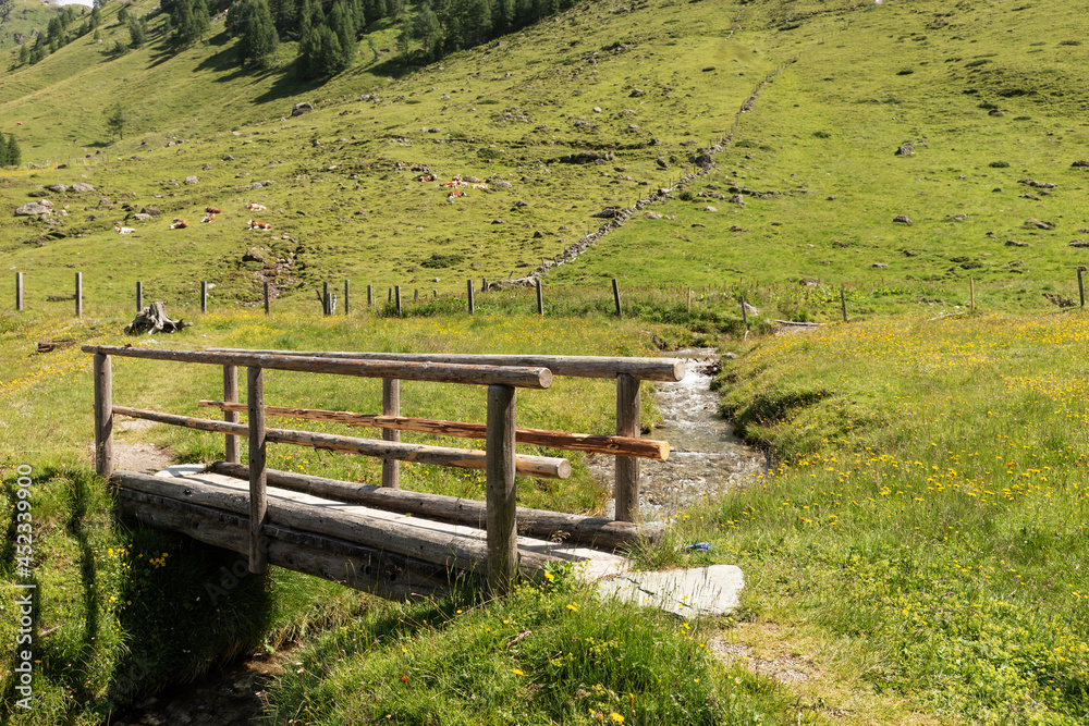 Fototapeta premium Wooden small bridge in the Alps. Mountain landscape