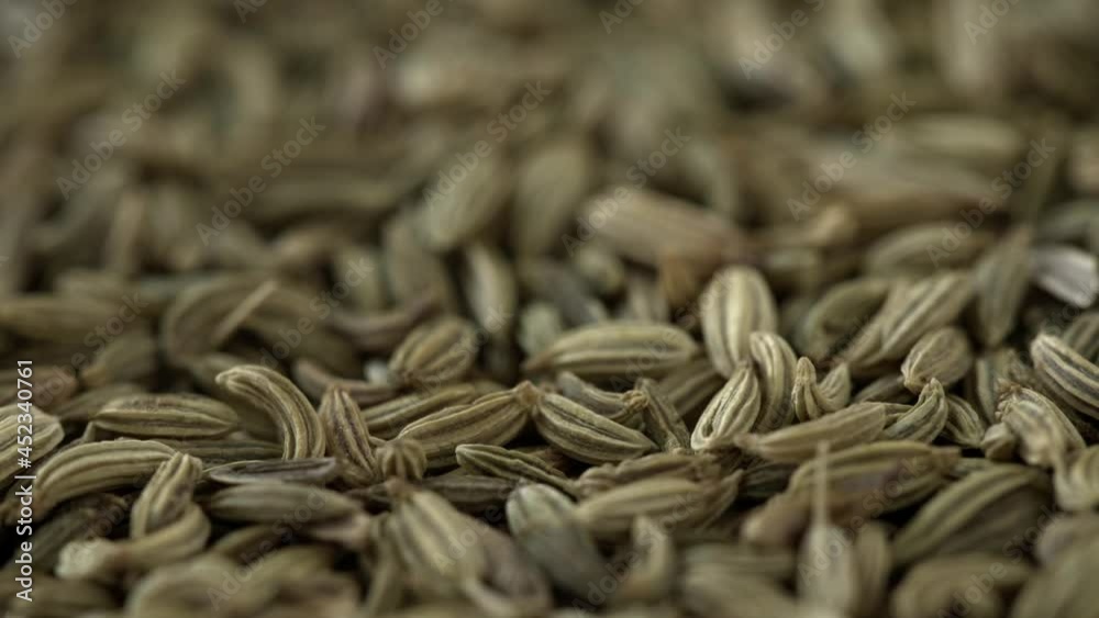 Dry fennel seed rotating macro close up Dry fennel seed rotating macro close up