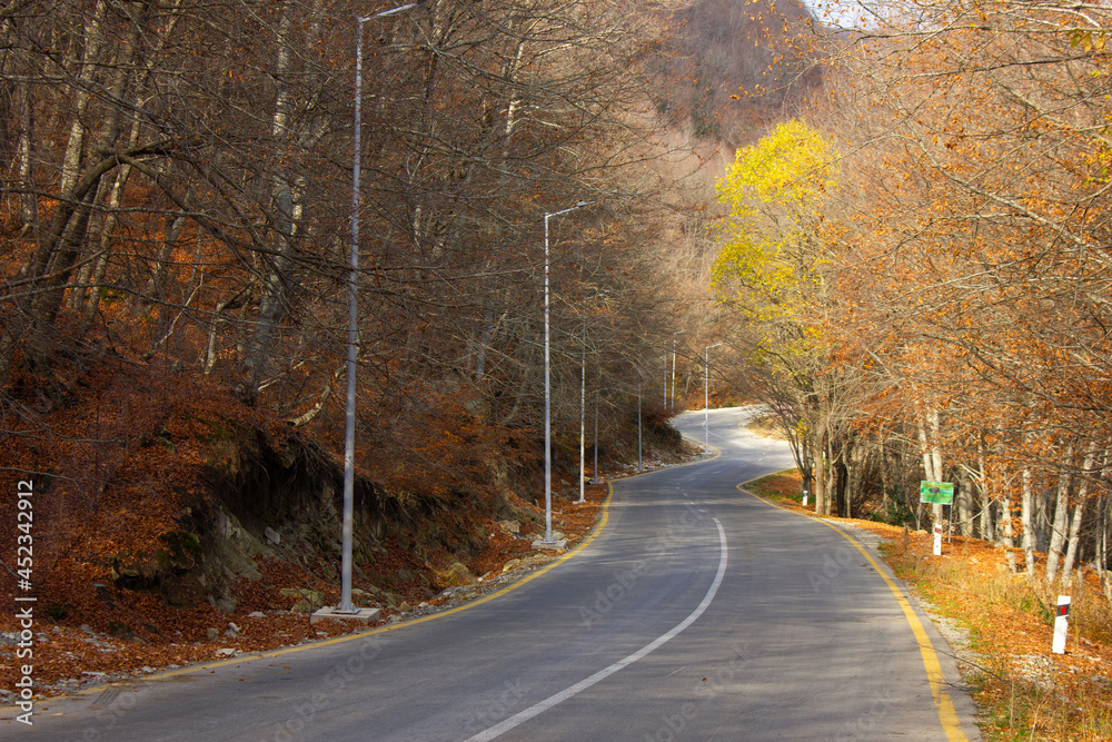 Fototapeta premium The road leading through the autumn forest.