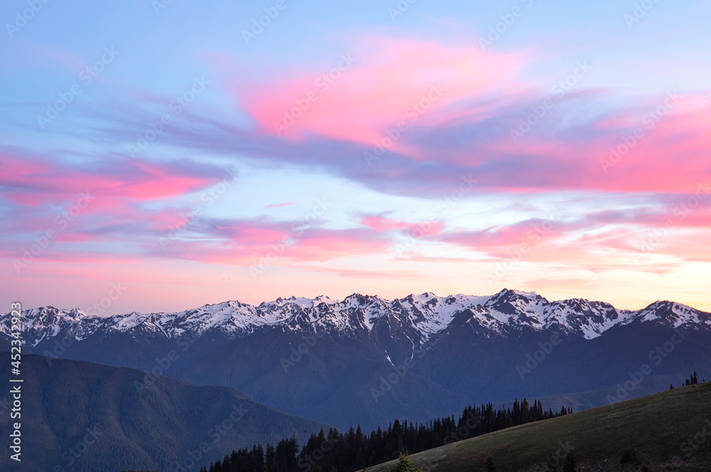 Scenic Olympic Mountains in Washington state with wildflowers during sunset in the Pacific Northwest