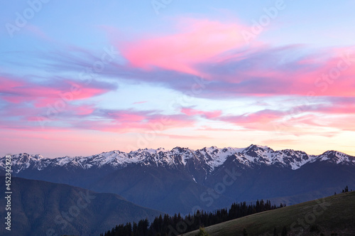Scenic Olympic Mountains in Washington state with wildflowers during sunset in the Pacific Northwest