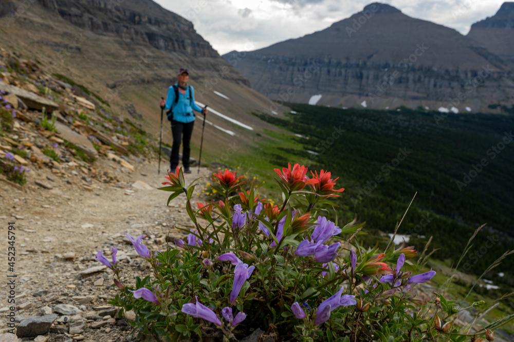 Wildflowers in focus with blurry female hiker in background