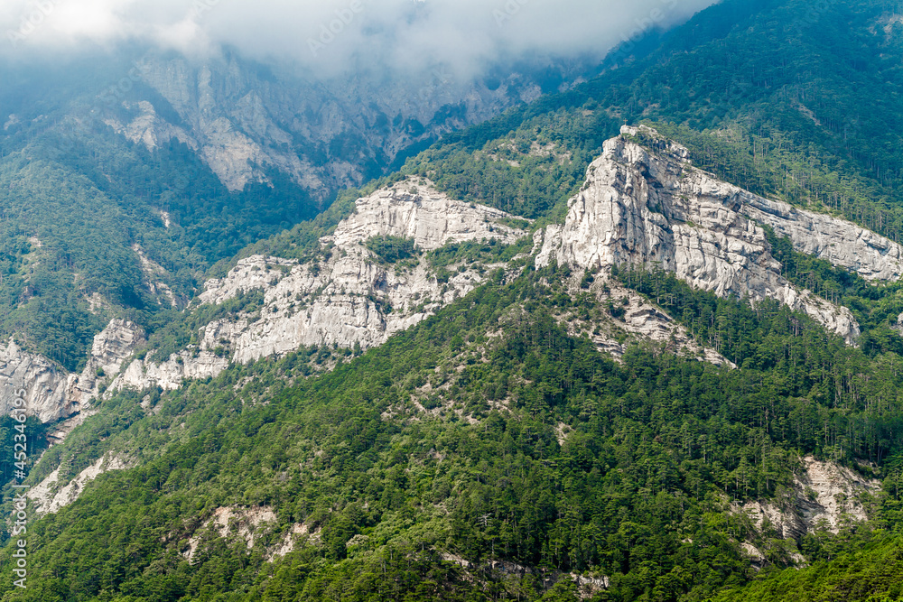 Mountains and rocks covered with forest vegetation and pine trees, mountain landscape.