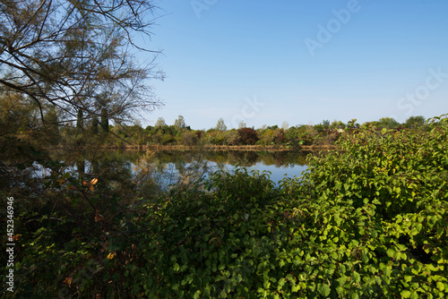Laguna in Friuli Venezia Giulia, Italia, riserva naturale della Valle Cavanata photo